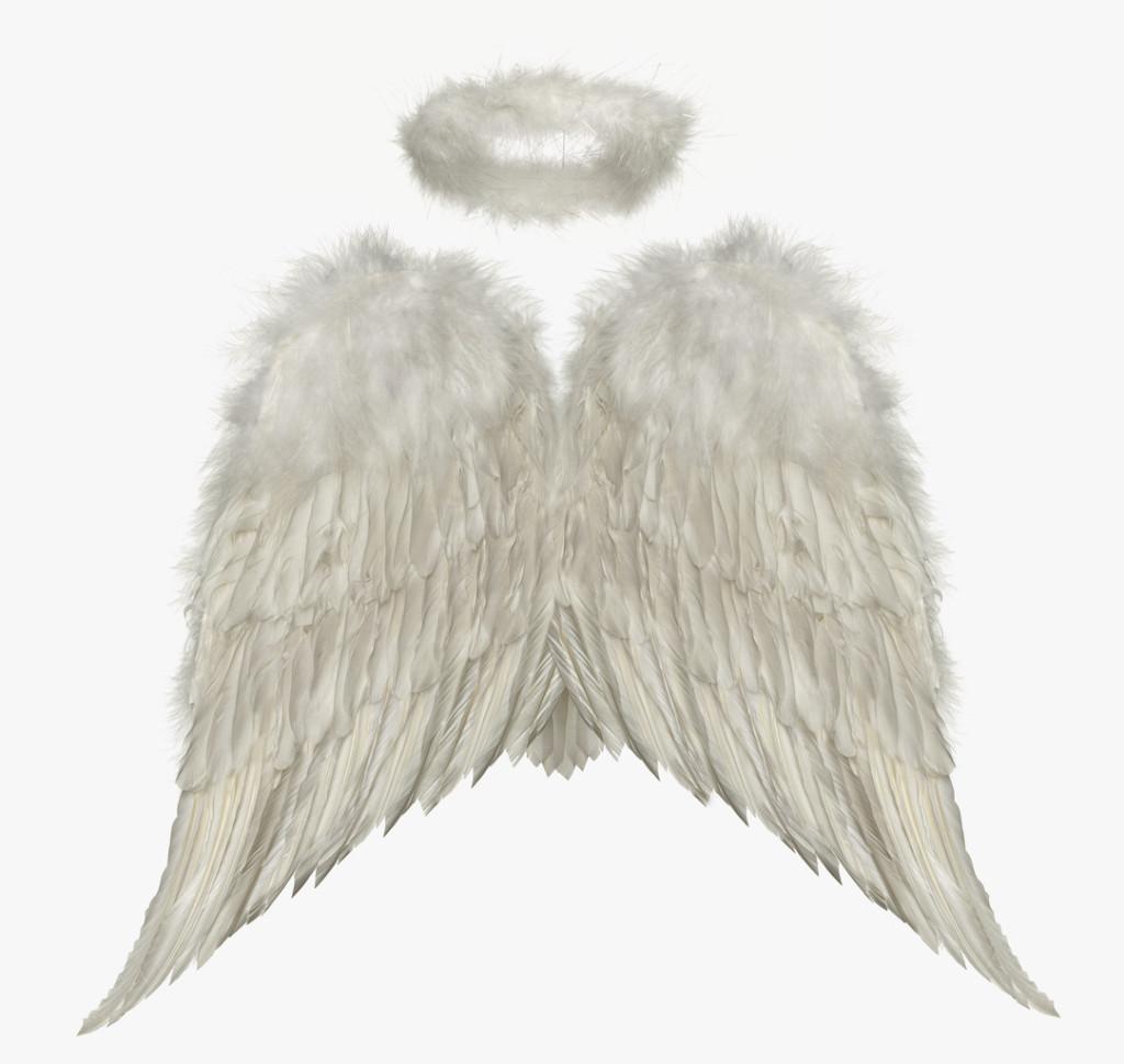 Angel Wings and Halo --- Image by © Royalty-Free/Corbis